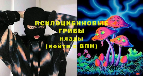 spice Алексин