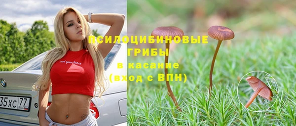 спайс Алексеевка