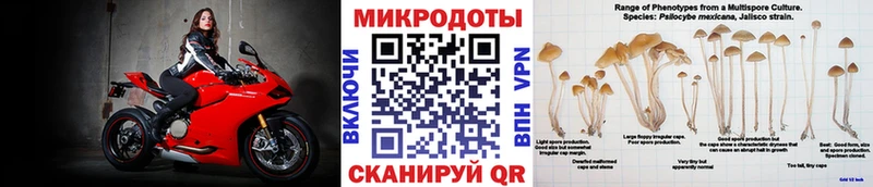 цены   Омутнинск  Галлюциногенные грибы прущие грибы 